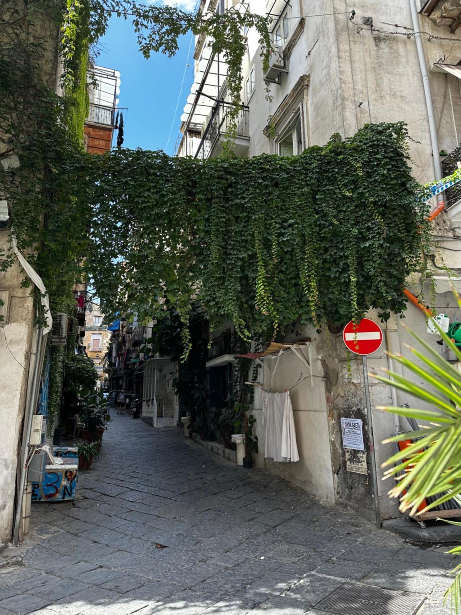 A Cas Ra Nonna Villa Napoli Bagian luar foto